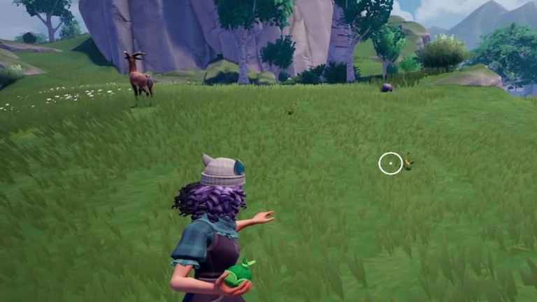 How to catch bugs in Palia – All Bug Locations – GameSkinny