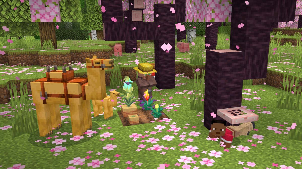 A camel and a villager stand under cherry blossoms in Minecraft