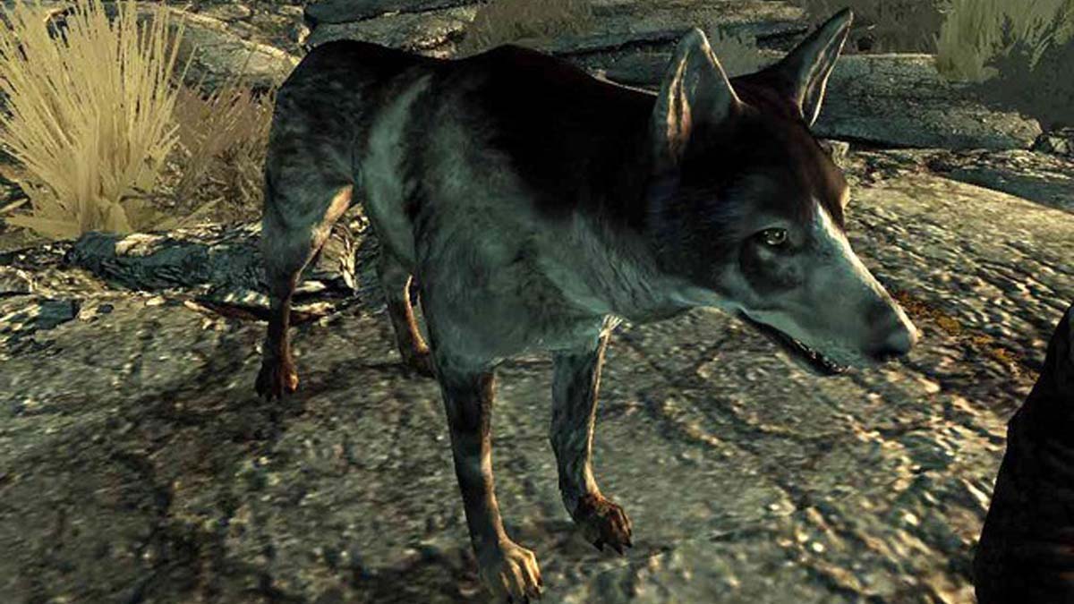Oeuf de Pâques en viande de chien dans Fallout 3