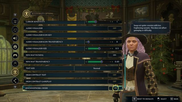 Accessibility Options in Hogwarts Legacy