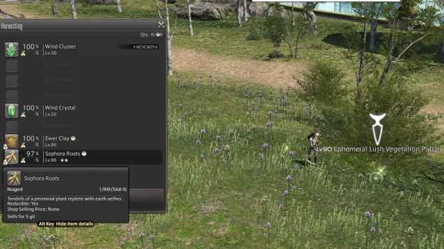 Gathering Sophora roots in FFXIV