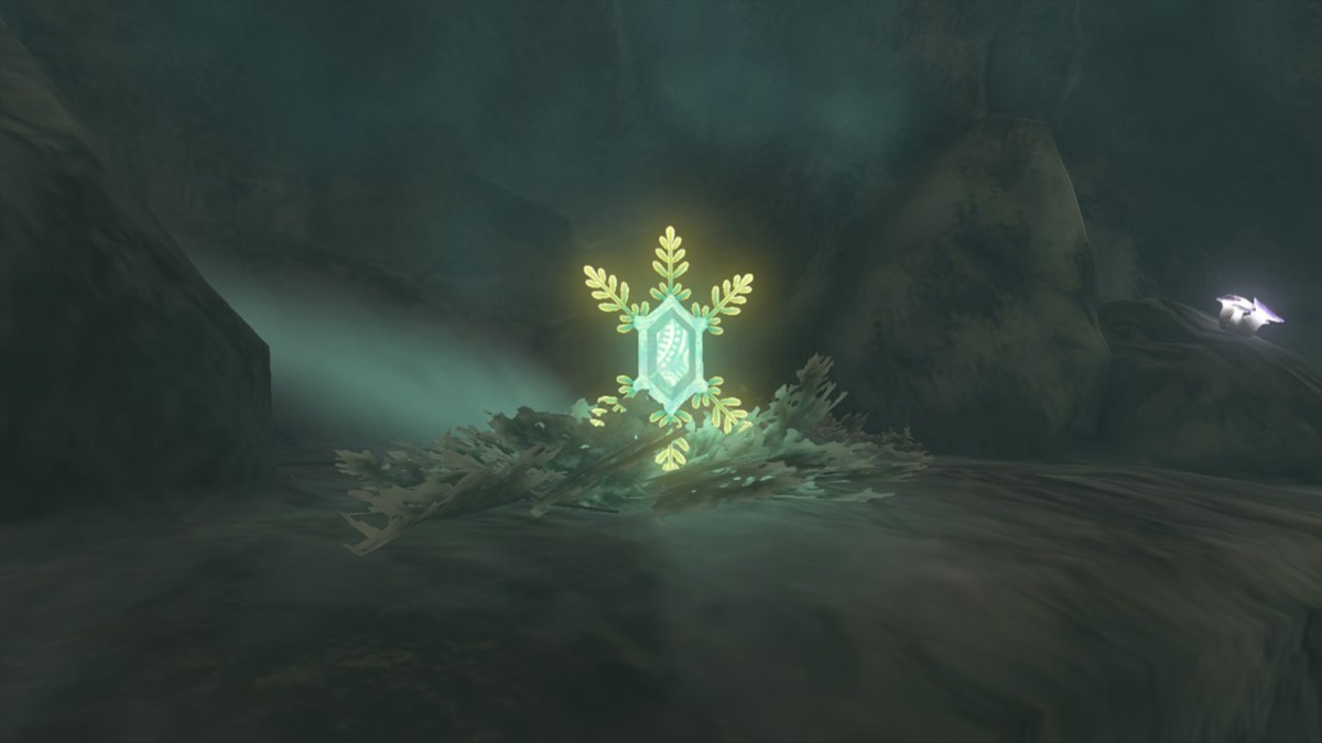 Zelda Tears of the Kingdom (TotK) — How to Dupe Bubbul Gems GameSkinny