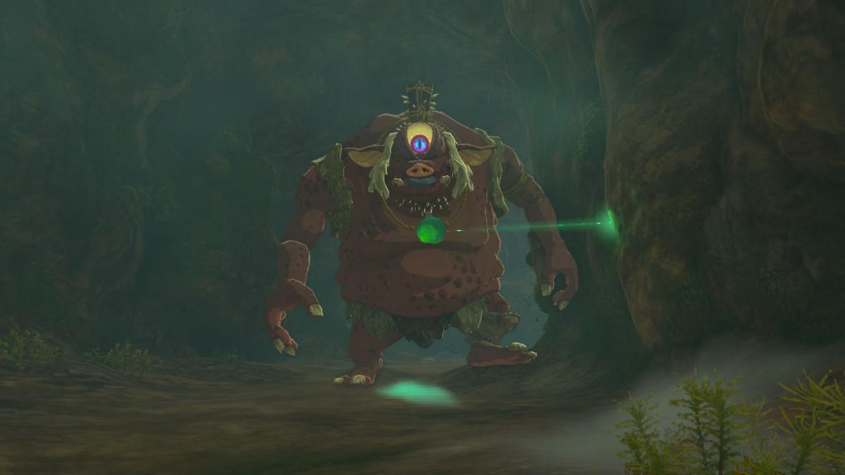 Zelda Tears of the Kingdom (TotK) — Hinox Boss Fight Guide GameSkinny