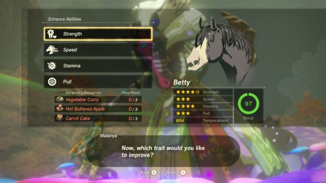 Zelda Tears of the Kingdom Malanya Horse God upgrade screen