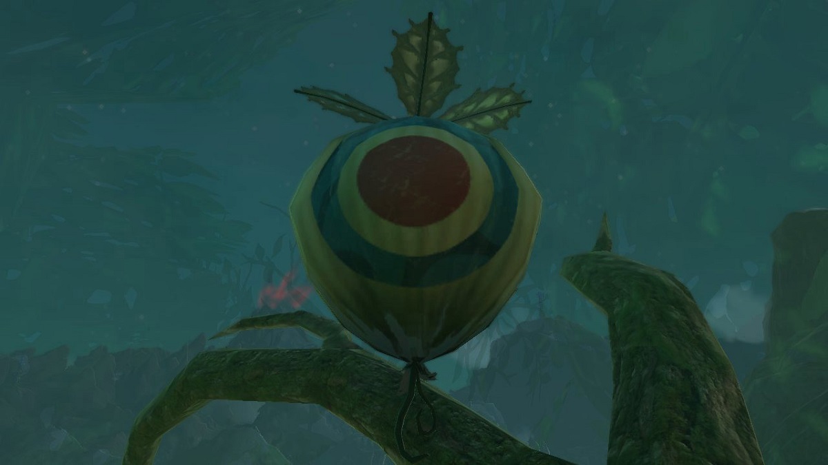 Zelda Tears of the Kingdom All West Necluda and Lanayru Wetlands