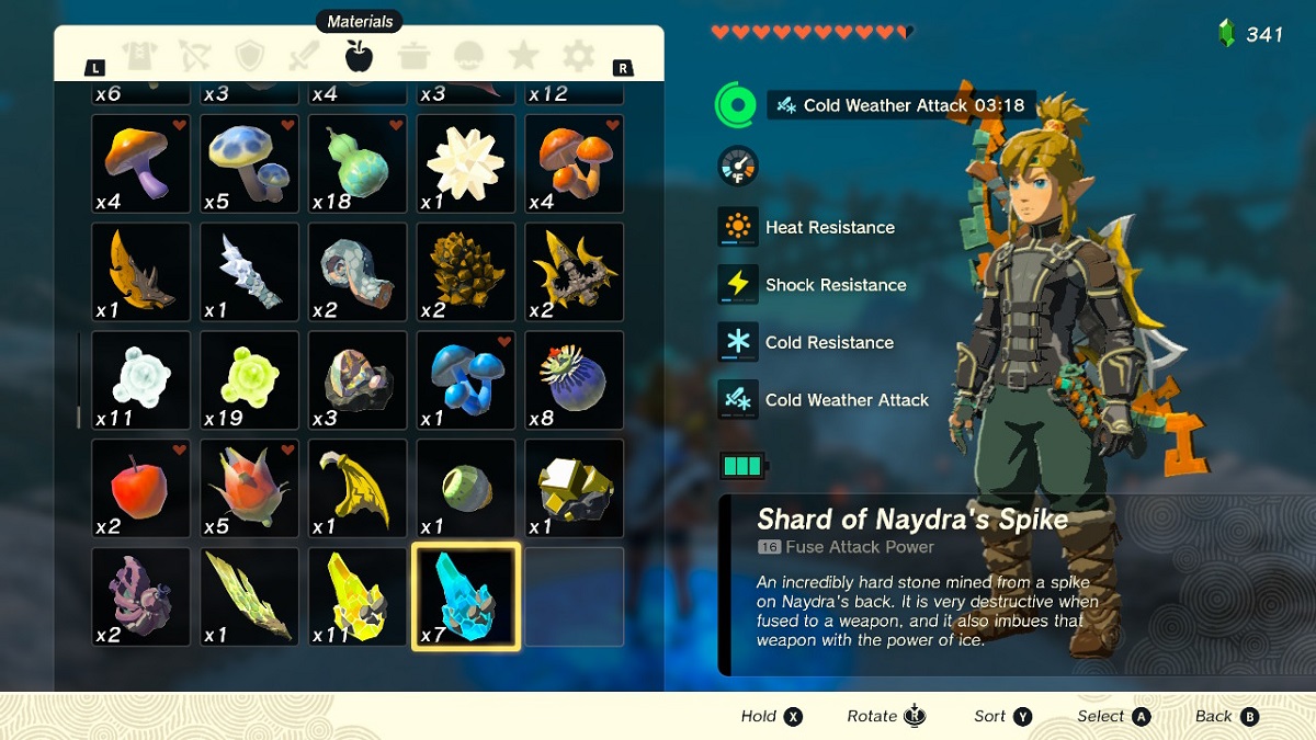 Zelda Tears of the Kingdom (TotK) Naydra Path Guide GameSkinny