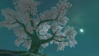 Zela Tears of the Kingdom Cherry Blossom Tree Guide feature image