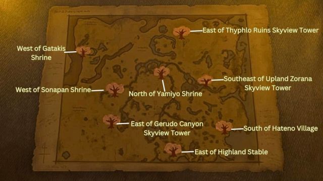 Zelda Tears of the Kingdom Cherry Blossom Trees Outskirt Stables map with locations marked