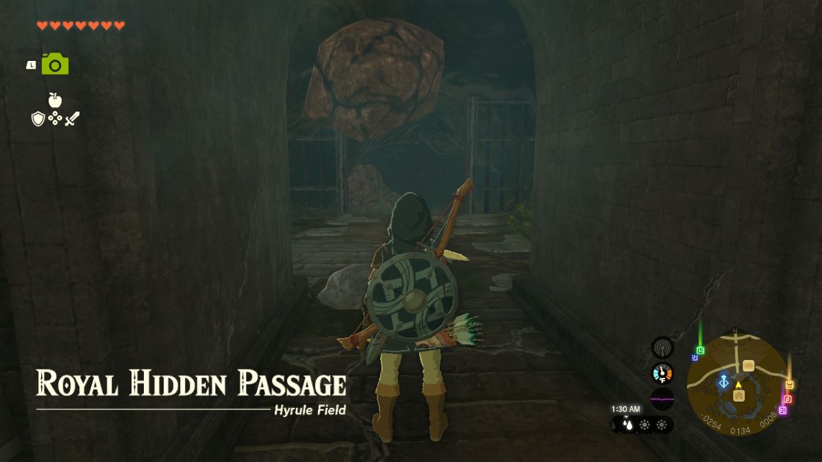 Zelda Tears of the Kingdom — How to Unlock Horned Statue to Respec in