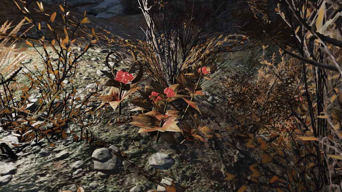 Fallout 76 Fruits and Vegetables Foraging Guide – GameSkinny