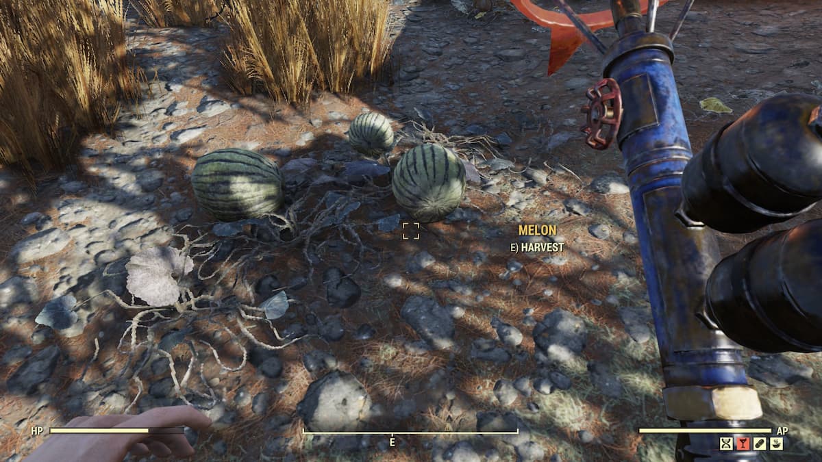 Fallout 76 Fruits and Vegetables Foraging Guide GameSkinny