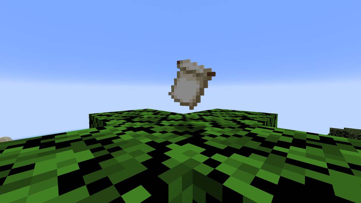 Minecraft Top 10 Rarest Items and How to Get Them GameSkinny