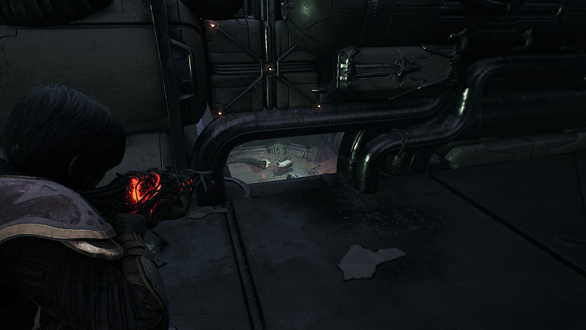 Remnant 2 How to Unlock Hatchery Locked Door GameSkinny