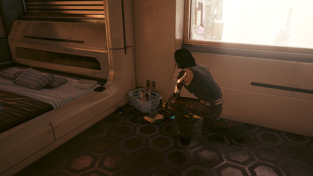 Cyberpunk 2077 How to Get Nibbles the Pet Cat GameSkinny