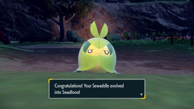 Sewaddle evolve into Swadloon in Teal Mask DLC Pokemon Scarlet and Violet