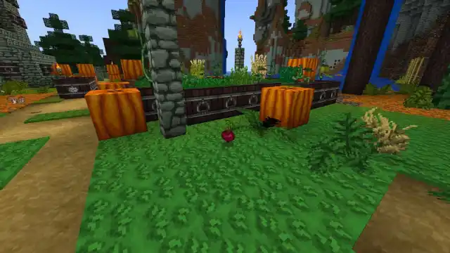 a red beet on green grass near pumpkins in Minecraft.