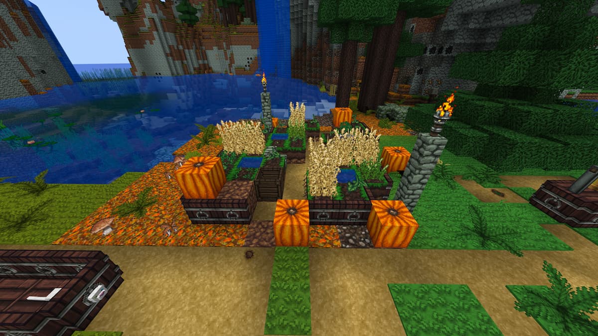 A Minecraft farming plot near water with pumpkins and other crops.