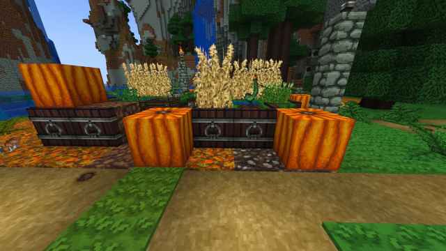 Three square pumpkins near a dirt path and two wooden chests.