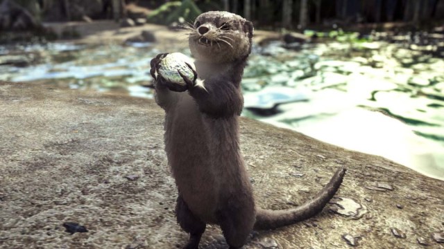 Otter holding a Silica Pearl in Ark Survival Ascended