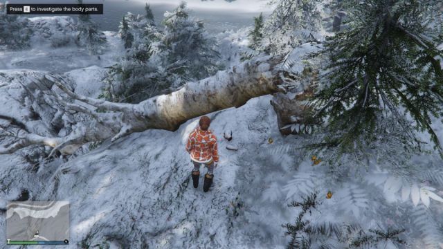 The body parts during the Yeti hunt in GTA 5 Online.