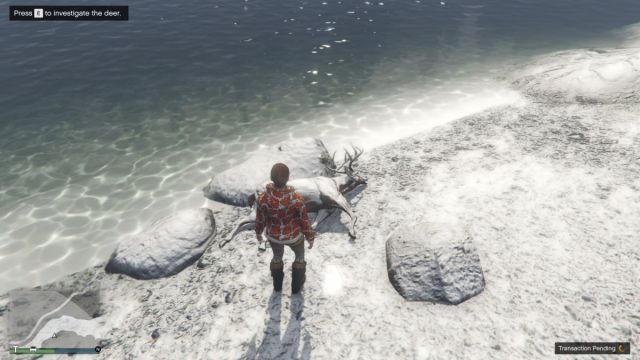 The deer during the Yeti hunt in GTA 5 Online.