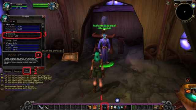 Skills panel in WoW Classis