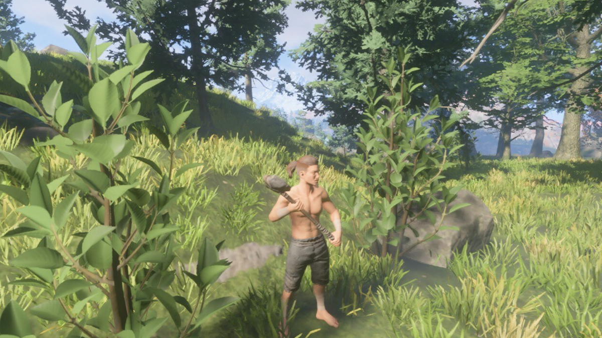 player standing between bushes in a field