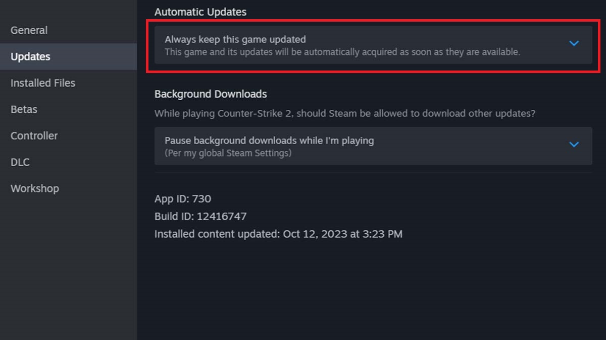 Automatic update screen for Steam games