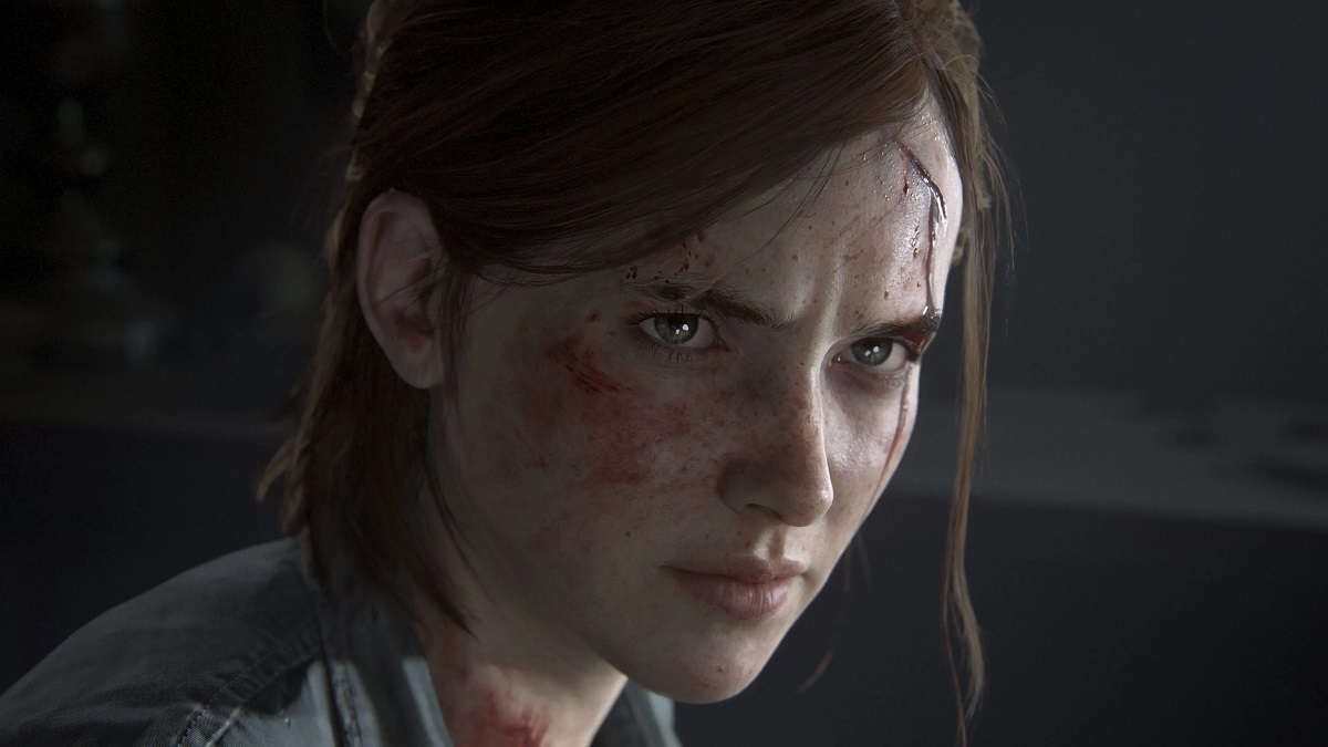 Ellie with a wound on her head
