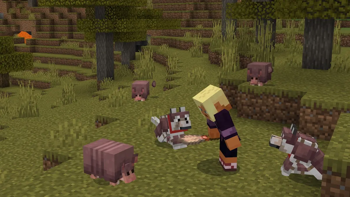 A Minecraft player surrounded by a Wolf and four Armadillos with the old design.
