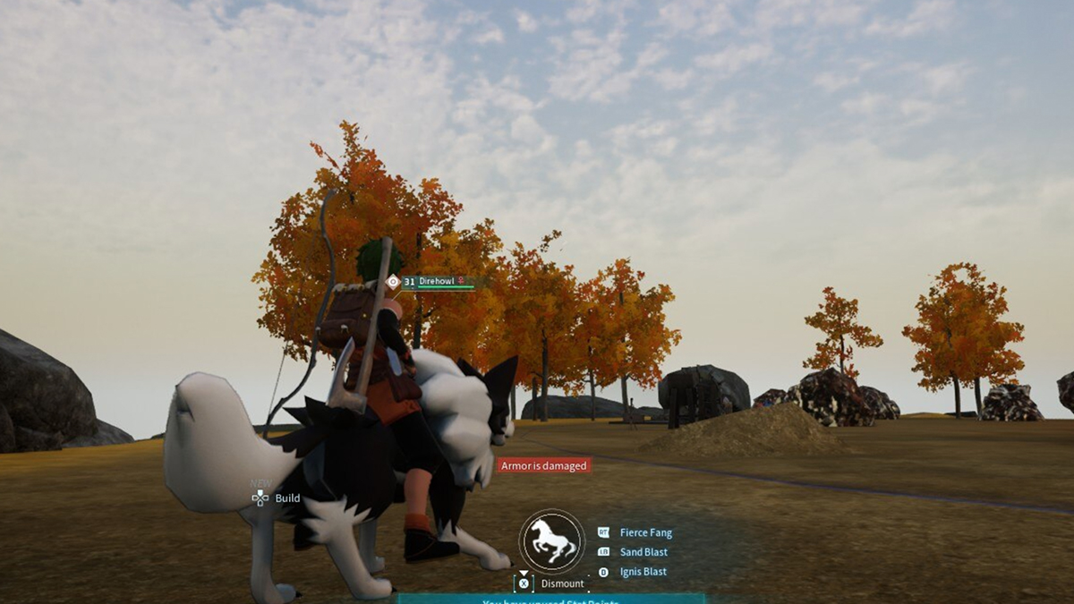 player riding pal in an open field
