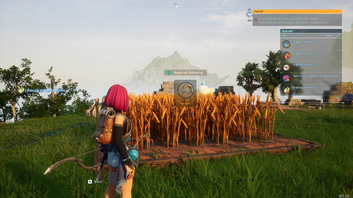 Wheat farm ready for harvest