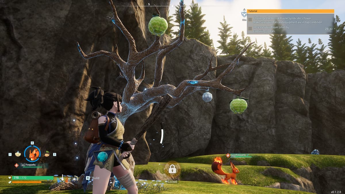 Character standing in front of Skill Fruit Tree