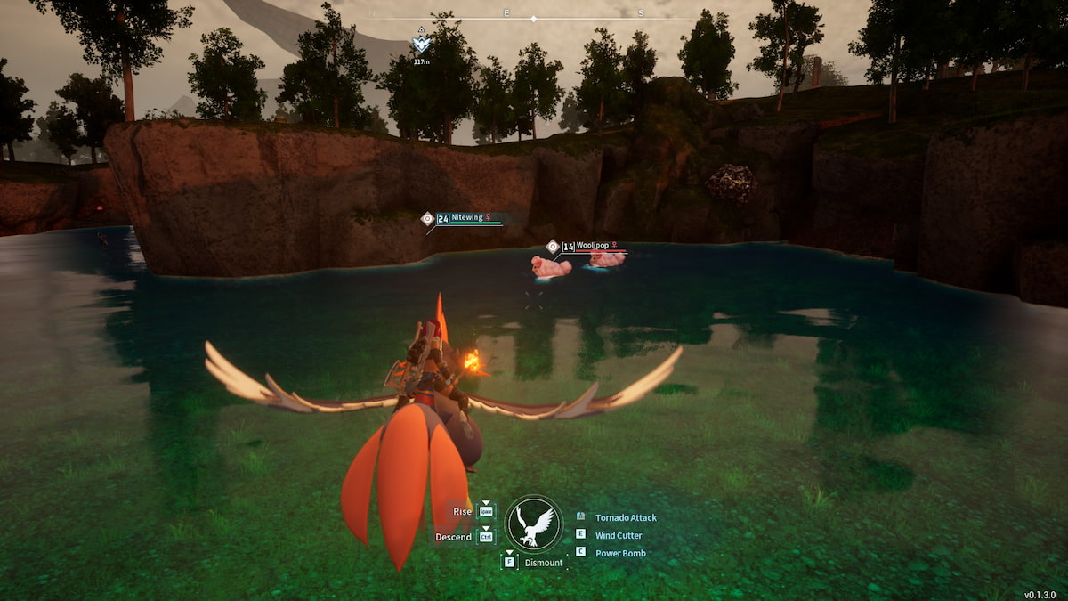 Two Woolipops swimming in water and Player hovering with Nitewing