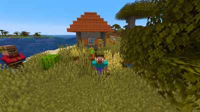 Minecraft player standing in front of house