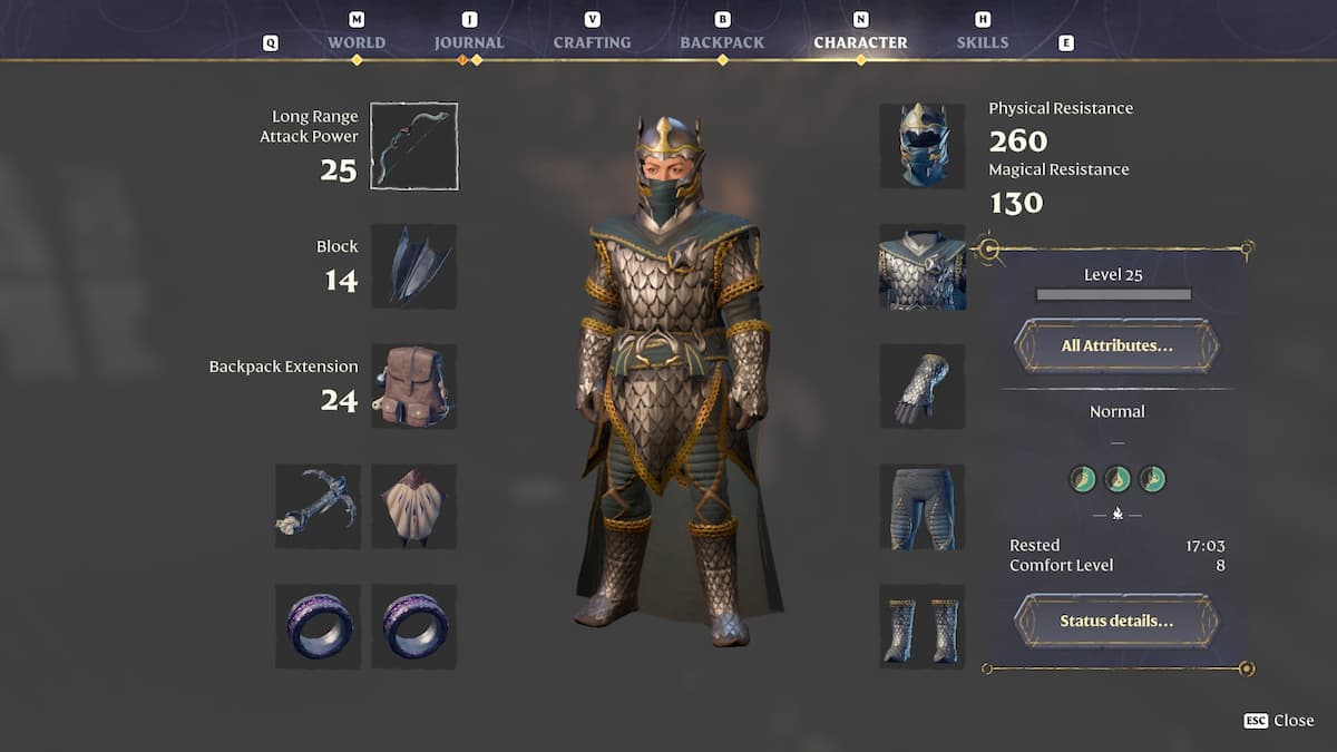 Soldier set and equipment on level 25 character.