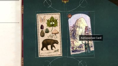 Picture of forest biome card and antiquarian card in nightingale.