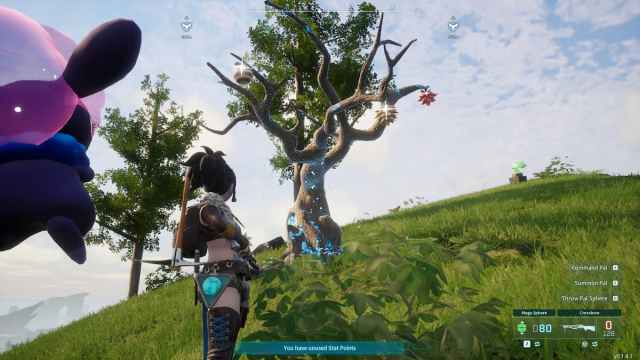 Character standing in front of a Skill Fruit Tree.