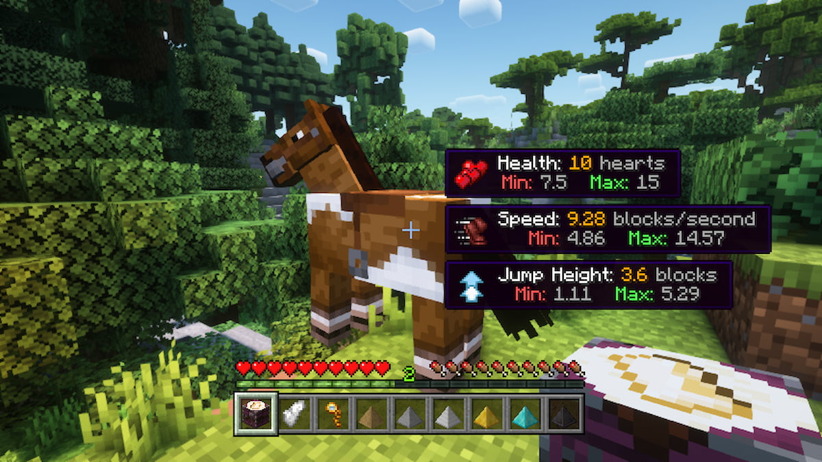 The hidden stats for a Minecraft horse revealed with the Horse Expert mod.