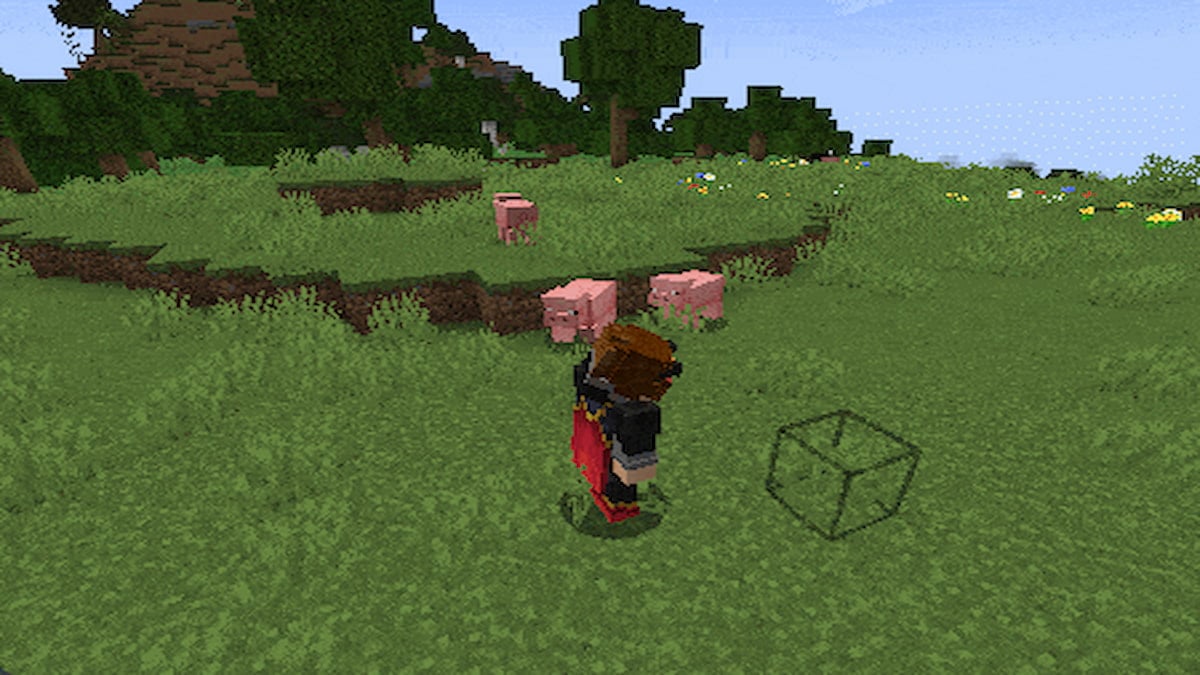 minecraft player in third person view