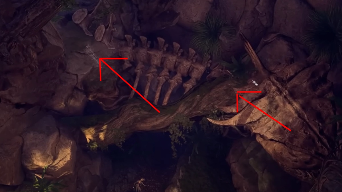 band of the mystic scoundrel location in a bag in baldur's gate 3 in the jungle