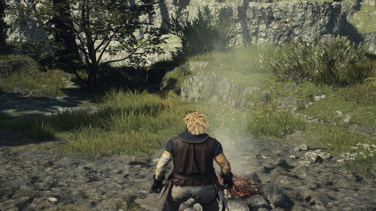 dragons dogma 2 setting up camp in the wild
