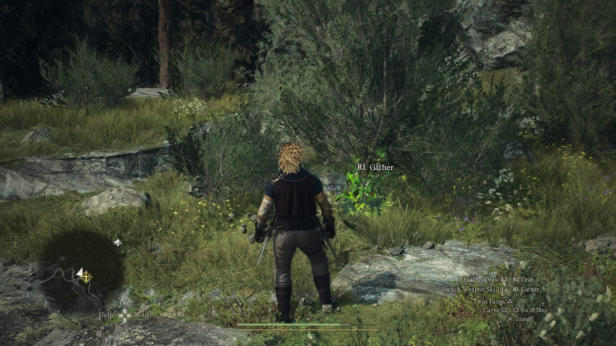 dragons dogma 2 healing plant in the wilds