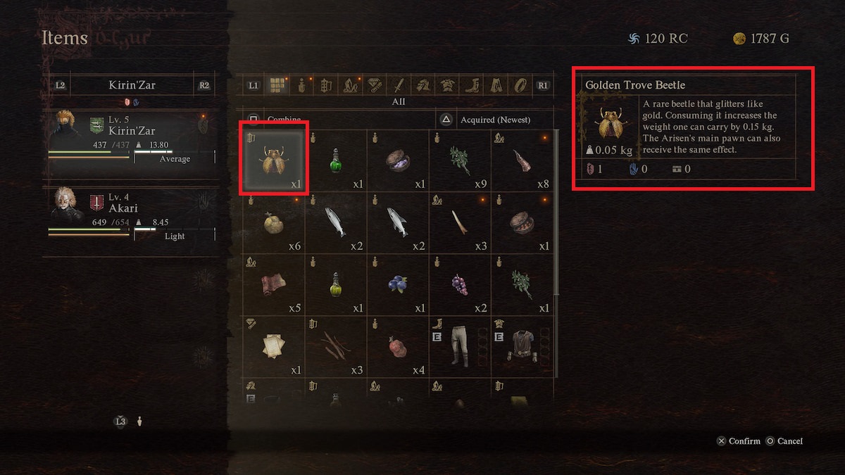 dragons dogma 2 golden beetle that increases inventory size