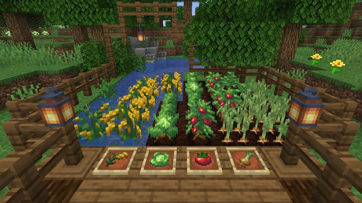 A little Minecraft farm