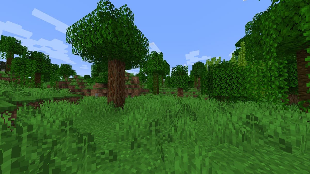 A lush view of the forest from the Expanded Delight Minecraft mod