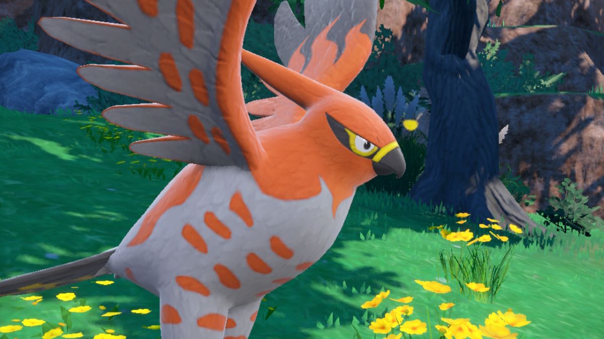 A close-up shot of Talonflame in Pokemon Scarlet & Violet