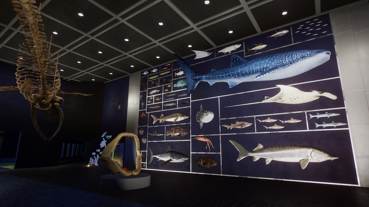 A lineup of fish props on a wall from the Planet Zoo Aquaria Pack.