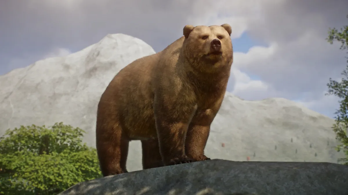 A changed model of a Planet Zoo bear from the Grizzly Bear Remaster and New Variants mod.