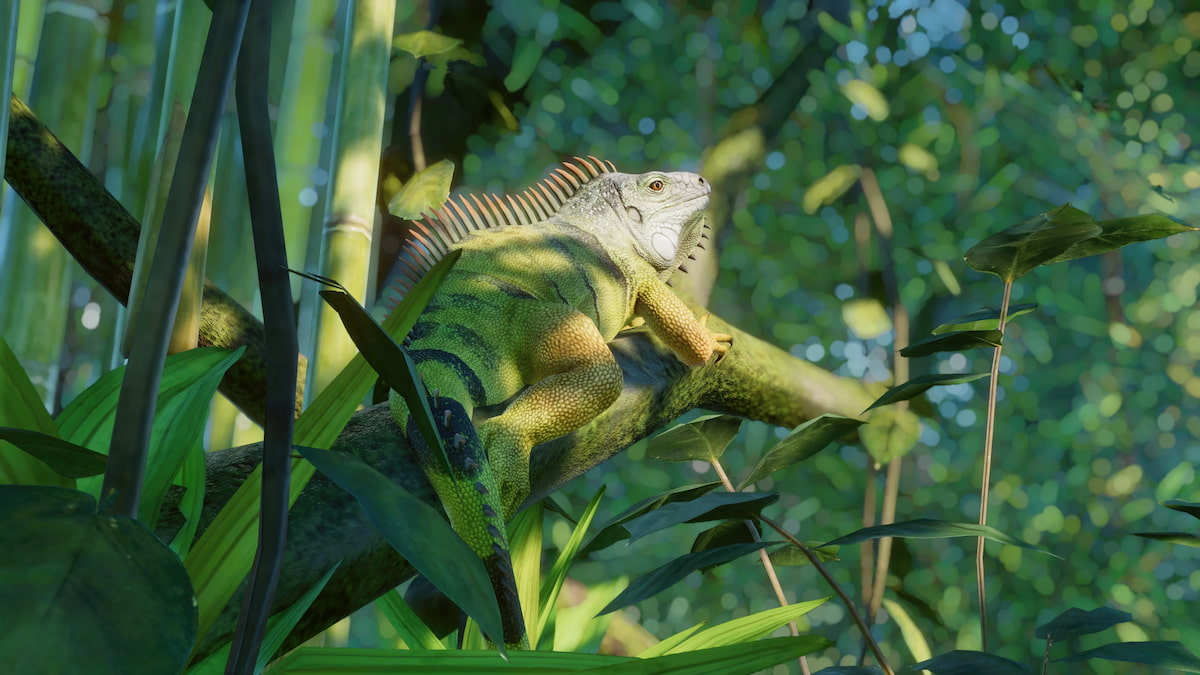 A Green Iguana with new textures from the Planet Zoo Extraordinary Exhibits Remaster mod.